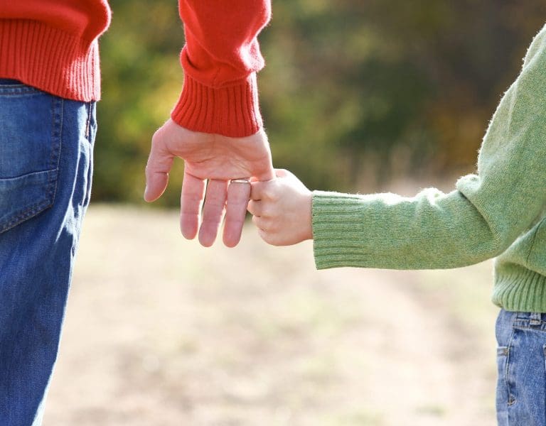 Adult holding child hand Adult holding child hand